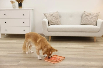 Kerbl Náučná hračka pre psa, sova, ružová/hnedá, 30 x 28 cm