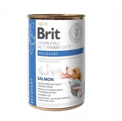 Brit VD Cat GF Recovery 0,4 kg