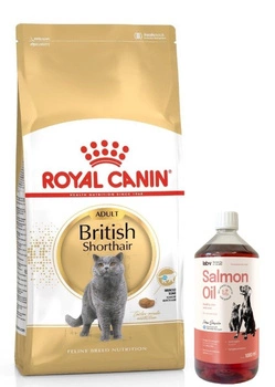 ROYAL CANIN British Shorthair 10kg + LAB V Lososový olej pre psov a mačky 1000ml