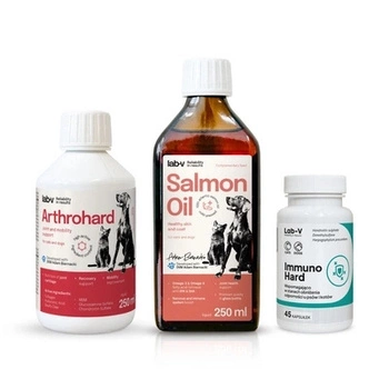 Darčeková sada pre psov – Zdravé kĺby, imunita a lesklá srsť