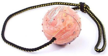 DINGO Športová lopta so zvončekom na šnúrke 60 cm