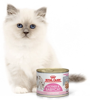 ROYAL CANIN Babycat Instinctive Feline 195g