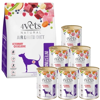 4Vets Natural Gastrointestinal Set; suché krmivo 1 kg + mokré krmivo 6 x 400 g