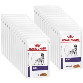 ROYAL CANIN Dospelý pes 2x(12x100g)