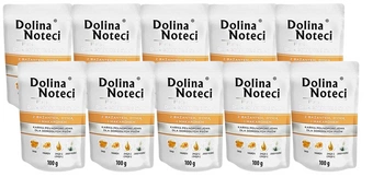 Dolina Noteci PREMIUM pre malé plemená psov s bažantom, tekvicou a makarónmi 10x100g