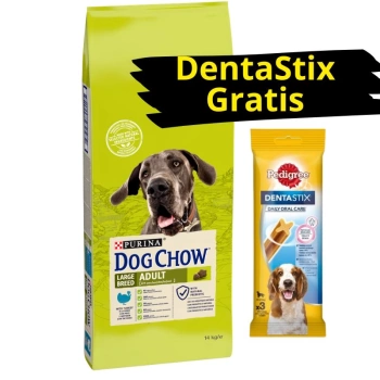 Purina Dog Chow Adult Large Breed Turkey 14 kg + DentaStix ZADARMO!