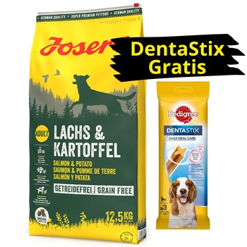 JOSERA Lachs & Kartoffel -Grain Free 12,5kg + DentaStix ZADARMO!