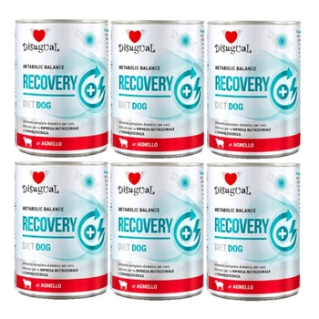 Disugual mokré krmivo pre psov Veterinárne RECOVERY Jahňacie (dospelé) 6x400 g