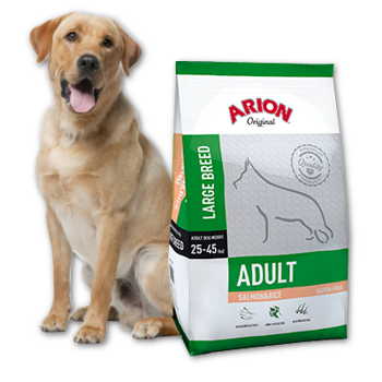 ARION Original Adult Large Breed Salmon&Rice 12kg