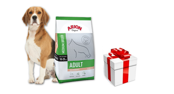 Arion Dog Original Adult Medium Salmon Rice 12 kg + prekvapenie pre vášho psa GRATIS