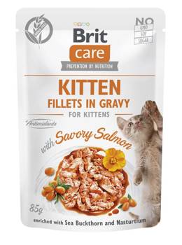 BRIT CARE Cat Kitten Fillets in Gravy with Savory Salmon Enriched with Sea Buckthorn and Nasturtium  24x85g