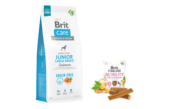 BRIT CARE Dog Grain-free Junior Large Breed Salmon 12kg + BRIT CARE Dog Dental Stick Mobility with Curcuma & Collagen 7szt