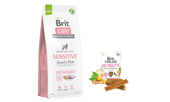 BRIT CARE Sustainable Sensitive Insect & Fish 12kg + BRIT CARE Dog Dental Stick Mobility with Curcuma & Collagen 7szt