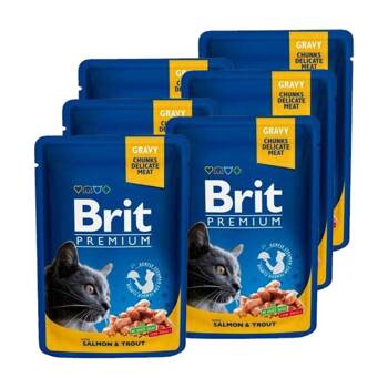 BRIT Cat Premium s lososom a pstruhom v omáčke 12x100 g