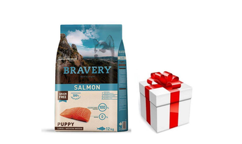 Bravery Grain Free Puppy Medium Large Salmon 12kg + prekvapenie pre vášho psa ZDARMA