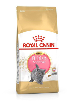 ROYAL CANIN Britské krátkosrsté mačiatko 2kg + PREKVAPENIE PRE MAČKU