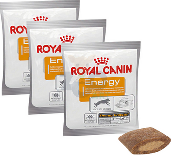 ROYAL CANIN Výživový doplnok Energy 10x50g zdravá pochúťka pre dospelých, aktívnych psov