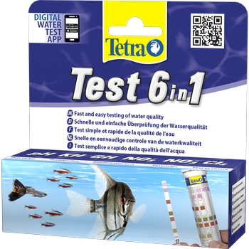 TETRA Test 6v1 10 ks